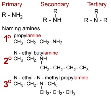 primary, secondary and tertiary amines and nomenclature