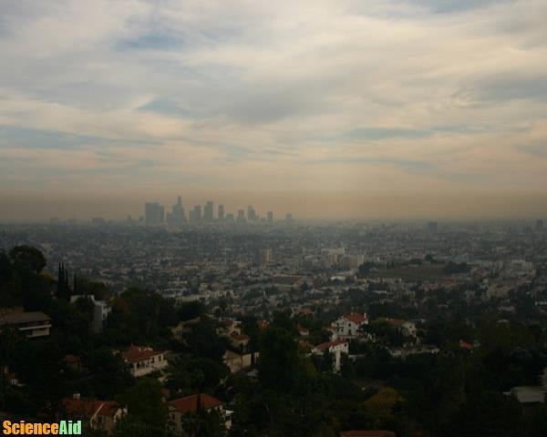 Smog 91660.jpg